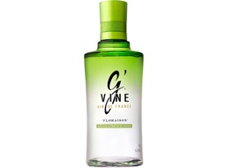 Gvine
